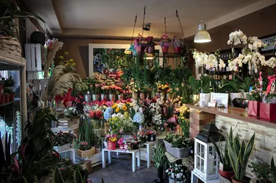 Kwiaciarnia Bukiecik Bigott Aleksandra